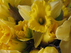 IMG_1244